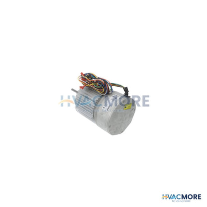 Heil Quaker (ICP) Motor 1208029