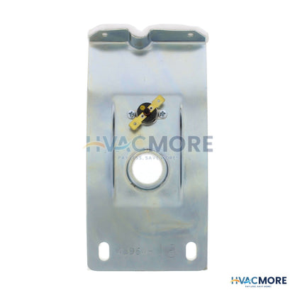 Bradford White Complete Right Side Inner Door W/ Gasket, Sight Glass & Therm Switch 239-43963-07