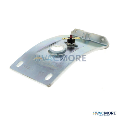 Bradford White Complete Right Side Inner Door W/ Gasket, Sight Glass & Therm Switch 239-43963-07