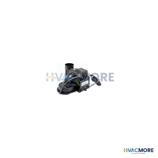 Bradford White Blower Assembly 239-48528-00