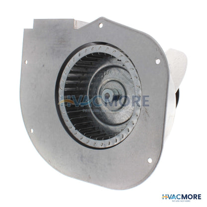 Modine Power Exhaust Assembly W/ Gasket 3H0373620001