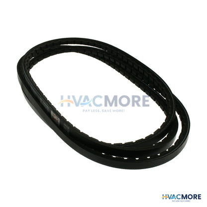 Browning 80" Browning V-Belt 3VX800