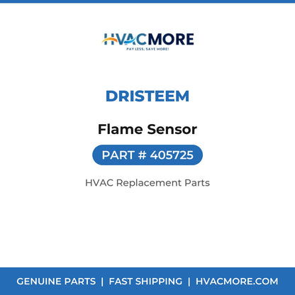 DriSteem Flame Sensor 405725