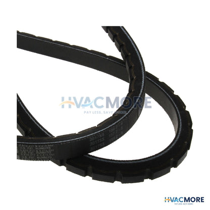 Browning 63" Browning V-Belt 5VX630