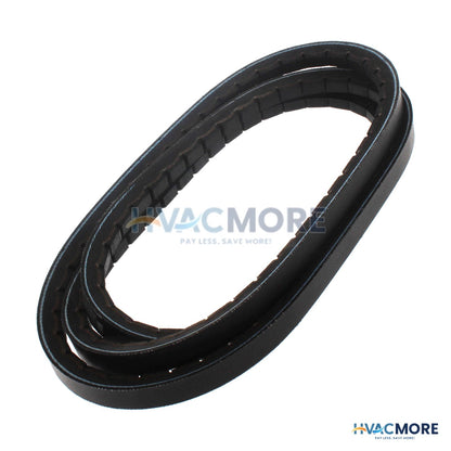Browning 80" Browning V-Belt 5VX800