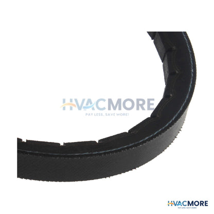 Browning 80" Browning V-Belt 5VX800