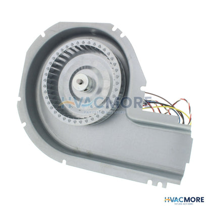 Packard Carrier Replacement Draft Inducer, 1/16 HP, 3450 RPM (208-230V) 66649