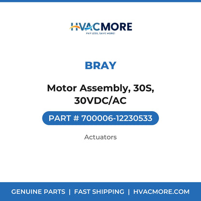 Bray Motor Assembly, 30S, 30VDC/AC 700006-12230533