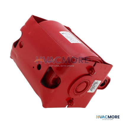 Armstrong Pumps 1/6 HP Motor (115V) 817025-001