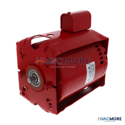 Armstrong Pumps 1/4 HP 1 PH Motor (115V, 1800 RPM) 817025-007
