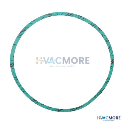 Armstrong Pumps 10" Nitrile Gasket 8426401-004