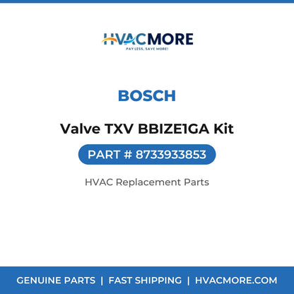Bosch Valve TXV BBIZE1GA Kit 8733933853
