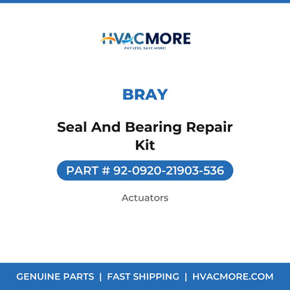 Bray Seal And Bearing Repair Kit 92-0920-21903-536
