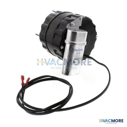 Modine 1/5 HP Motor (120V, 1050 RPM) 9F0302200000