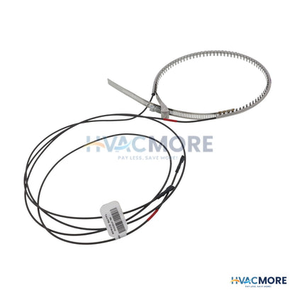Carrier Crank Case Heater HT32TC743