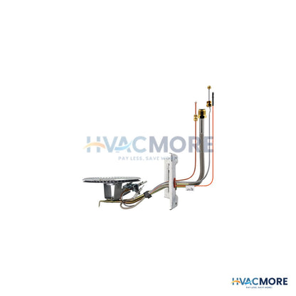 Rheem Burner Assembly, RG4, AM39860-1 - AM39860-1