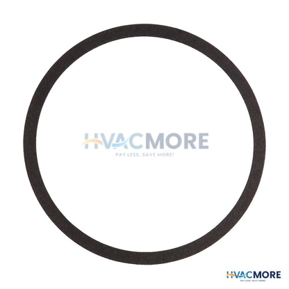 Bell & Gossett Volute Gasket (for Series 1510, 1531, 60 and PD Pumps) P57700