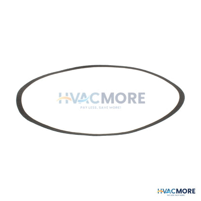 Bell & Gossett Volute Gasket P80752