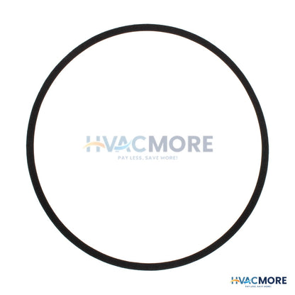 Bell & Gossett Volute Gasket P80752