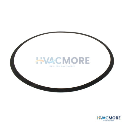 Bell & Gossett Volute Gasket (Series 1510) P80765