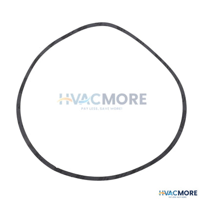 Bell & Gossett Volute Gasket P80767