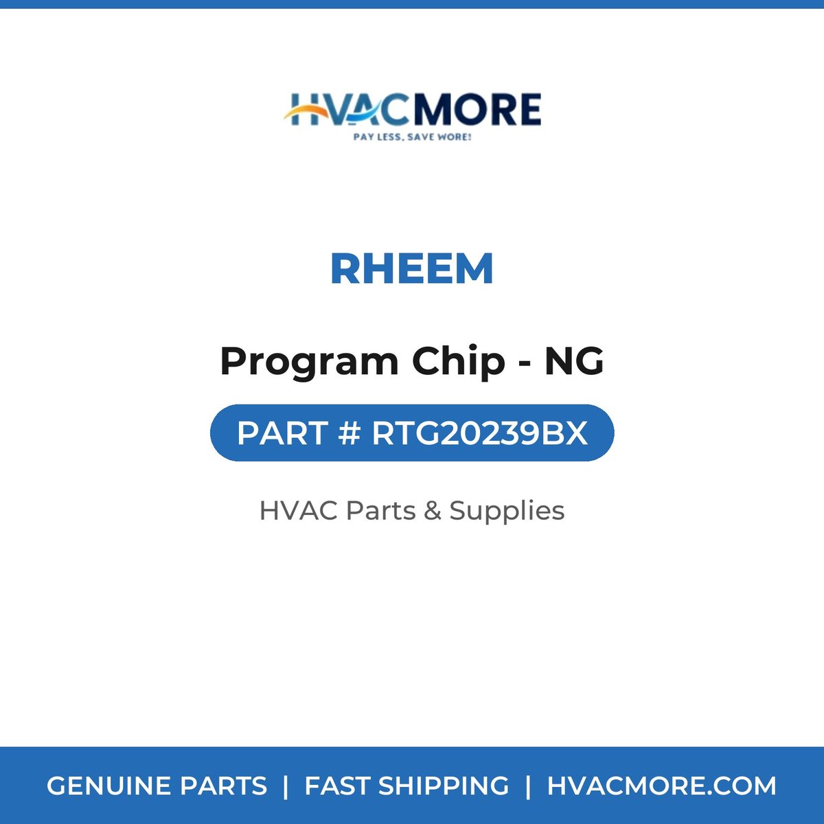 Rheem Program Chip - NG RTG20239BX