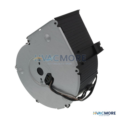 Broan Blower Assembly S97019785