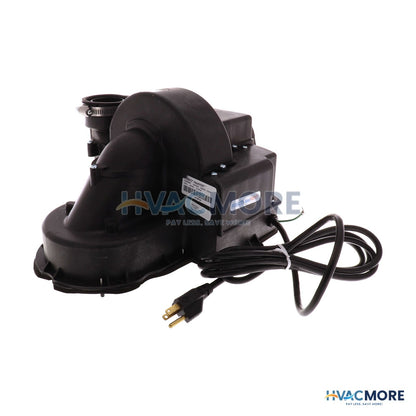 Rheem Blower Assembly - Residential Powervent SP21031B