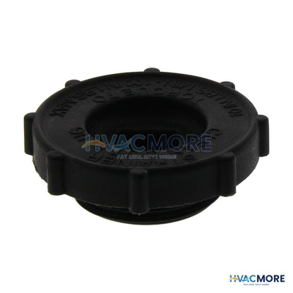 Bell & Gossett Strainer Nut V14609